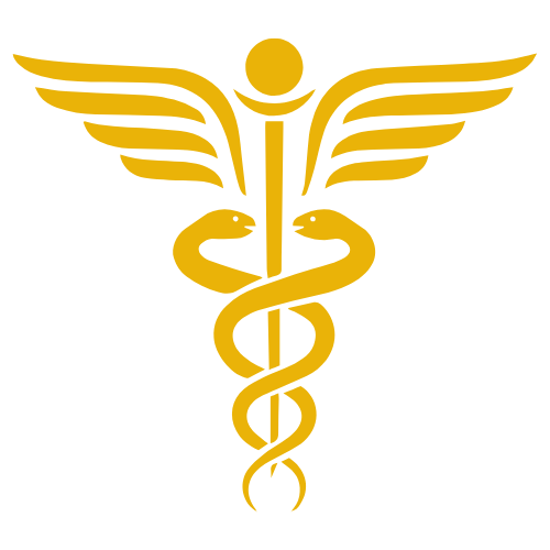 Krankentransporte Icon